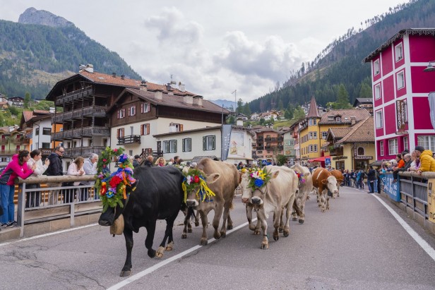 Moena Val di Fassa Dolomiti