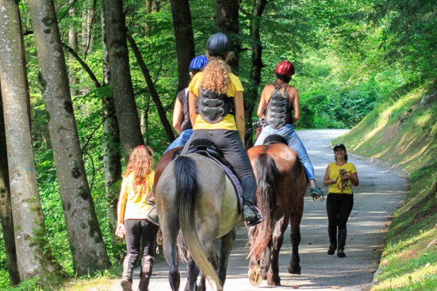 Horse Riding and Cheese Making